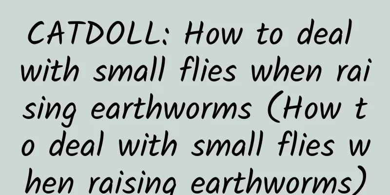 CATDOLL: How to deal with small flies when raising earthworms (How to deal with small flies when raising earthworms)