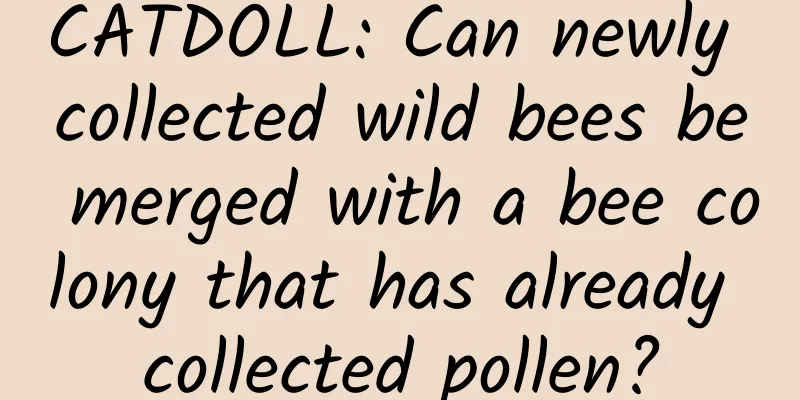 CATDOLL: Can newly collected wild bees be merged with a bee colony that has already collected pollen?