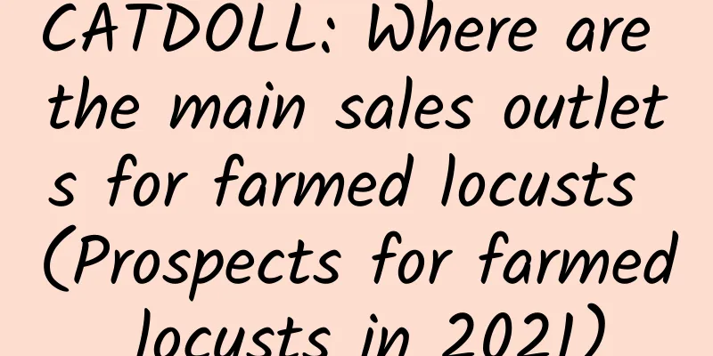 CATDOLL: Where are the main sales outlets for farmed locusts (Prospects for farmed locusts in 2021)