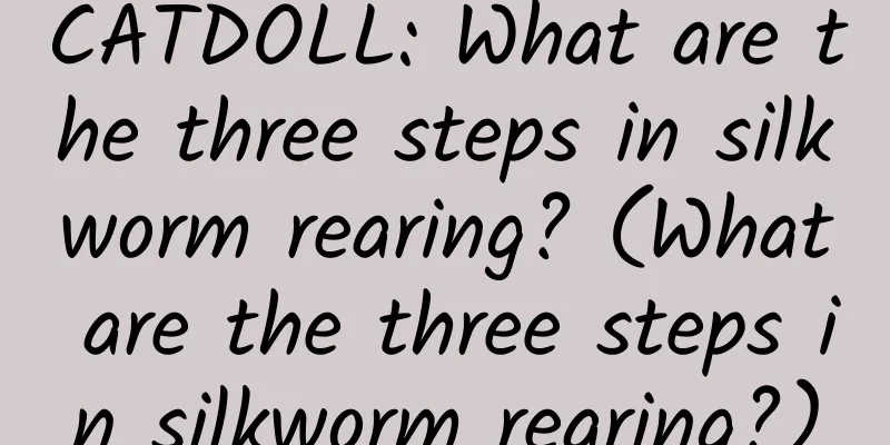 CATDOLL: What are the three steps in silkworm rearing? (What are the three steps in silkworm rearing?)
