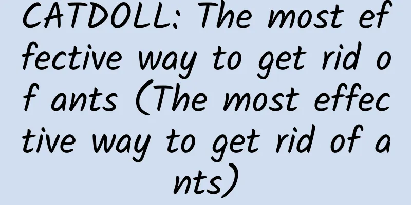 CATDOLL: The most effective way to get rid of ants (The most effective way to get rid of ants)
