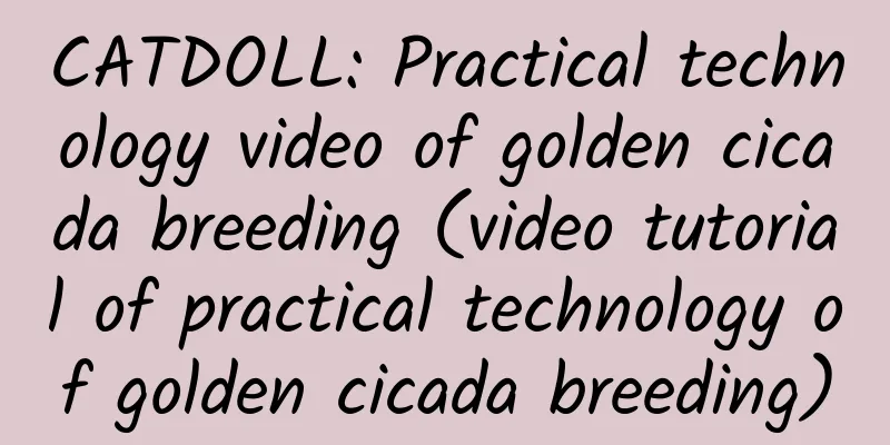 CATDOLL: Practical technology video of golden cicada breeding (video tutorial of practical technology of golden cicada breeding)