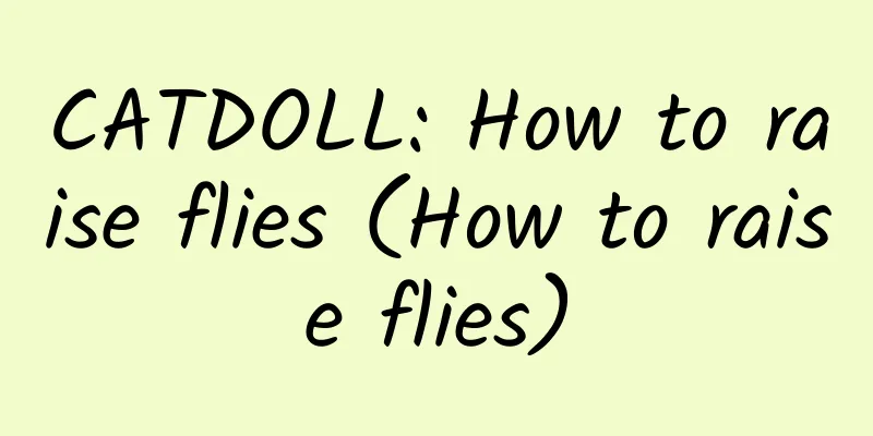 CATDOLL: How to raise flies (How to raise flies)