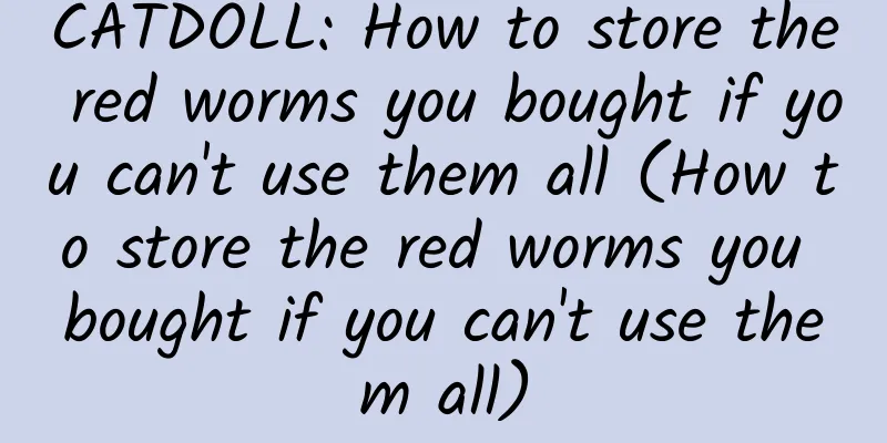 CATDOLL: How to store the red worms you bought if you can't use them all (How to store the red worms you bought if you can't use them all)