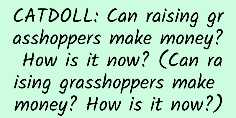 CATDOLL: Can raising grasshoppers make money? How is it now? (Can raising grasshoppers make money? How is it now?)