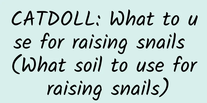 CATDOLL: What to use for raising snails (What soil to use for raising snails)