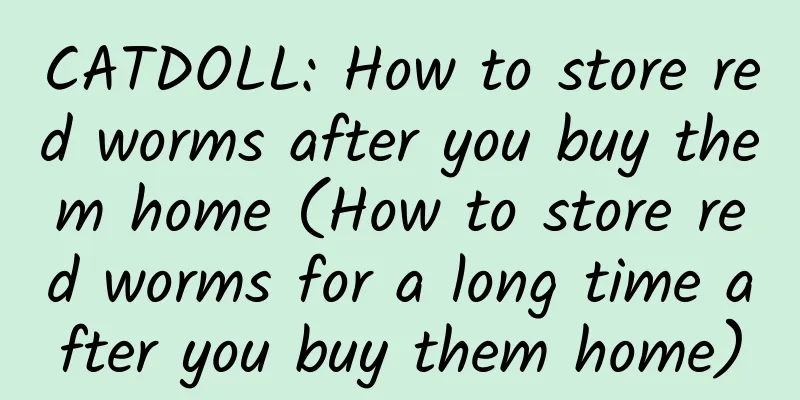 CATDOLL: How to store red worms after you buy them home (How to store red worms for a long time after you buy them home)