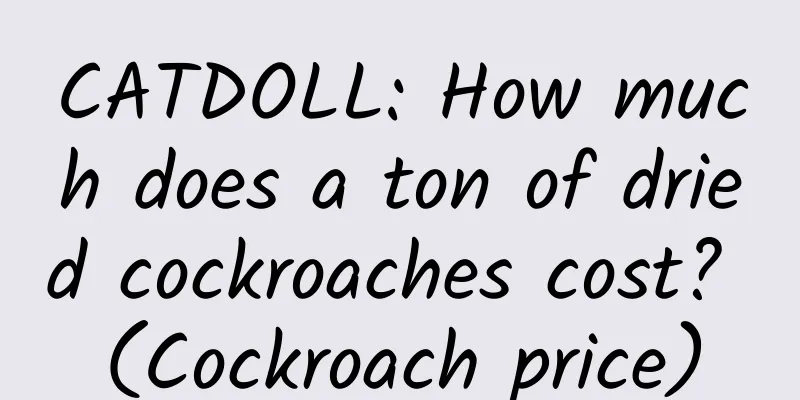 CATDOLL: How much does a ton of dried cockroaches cost? (Cockroach price)