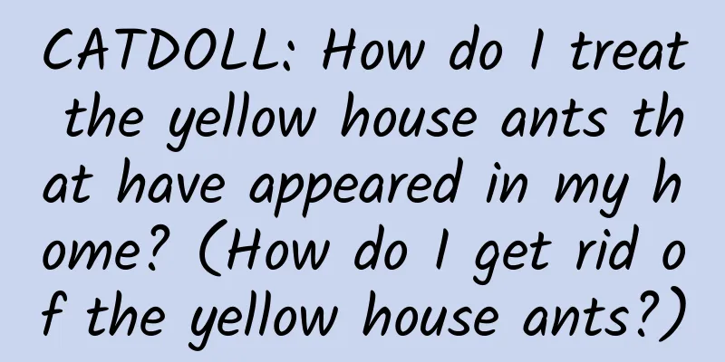 CATDOLL: How do I treat the yellow house ants that have appeared in my home? (How do I get rid of the yellow house ants?)