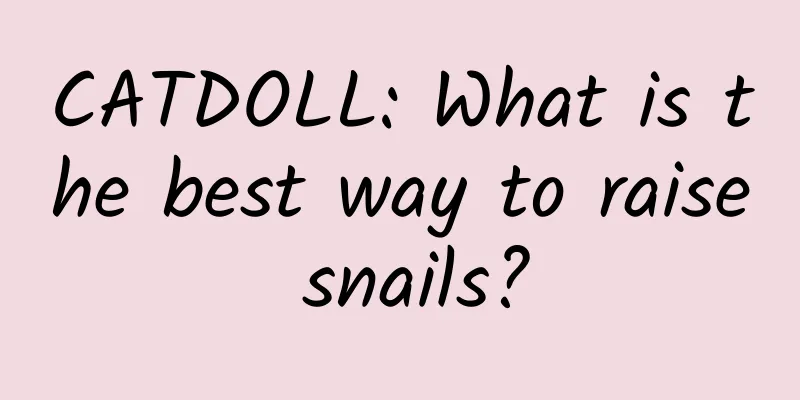 CATDOLL: What is the best way to raise snails?