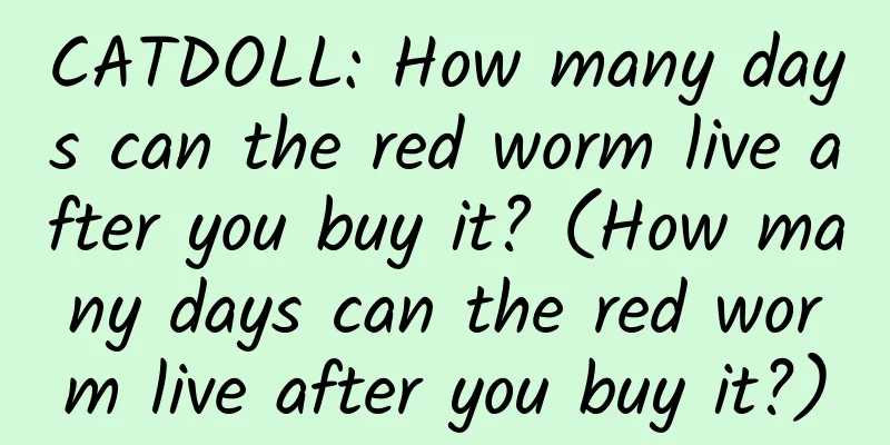 CATDOLL: How many days can the red worm live after you buy it? (How many days can the red worm live after you buy it?)