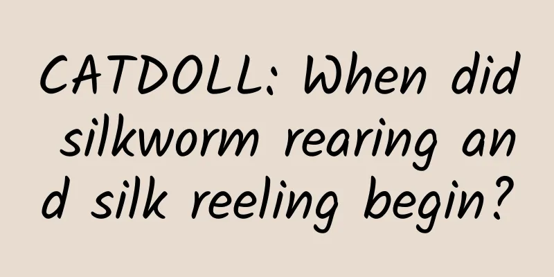CATDOLL: When did silkworm rearing and silk reeling begin?