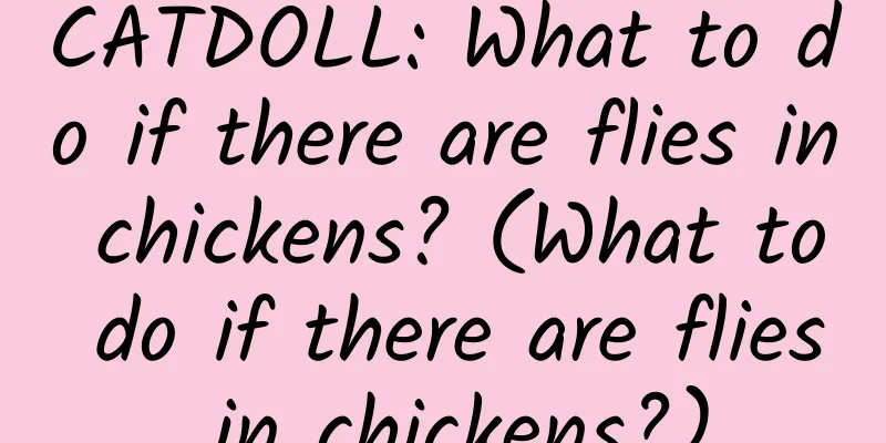 CATDOLL: What to do if there are flies in chickens? (What to do if there are flies in chickens?)