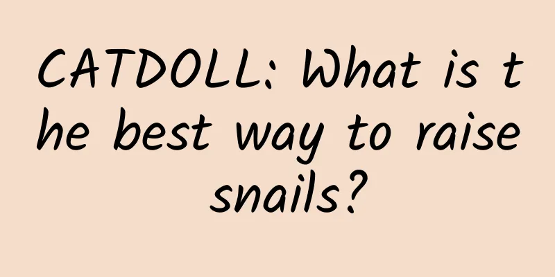 CATDOLL: What is the best way to raise snails?