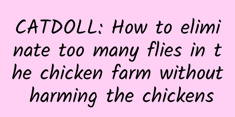 CATDOLL: How to eliminate too many flies in the chicken farm without harming the chickens