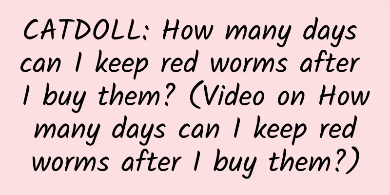 CATDOLL: How many days can I keep red worms after I buy them? (Video on How many days can I keep red worms after I buy them?)