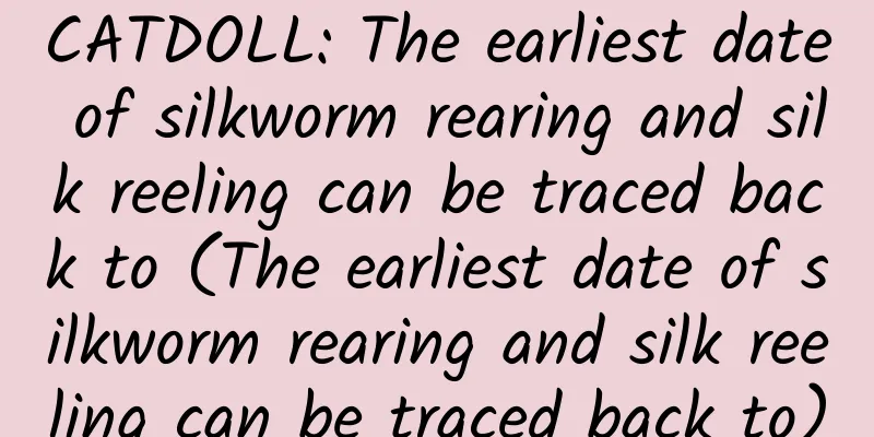 CATDOLL: The earliest date of silkworm rearing and silk reeling can be traced back to (The earliest date of silkworm rearing and silk reeling can be traced back to)