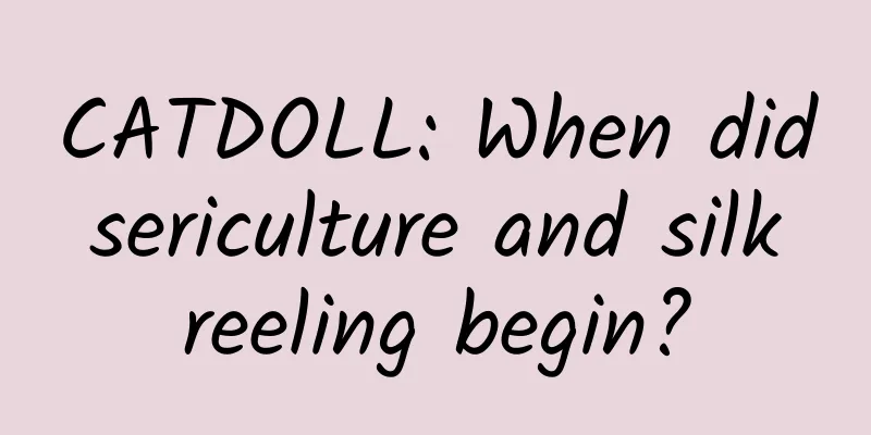 CATDOLL: When did sericulture and silk reeling begin?