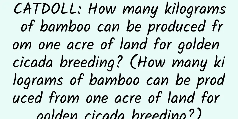 CATDOLL: How many kilograms of bamboo can be produced from one acre of land for golden cicada breeding? (How many kilograms of bamboo can be produced from one acre of land for golden cicada breeding?)