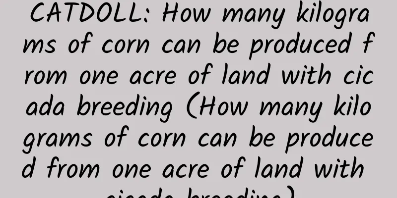 CATDOLL: How many kilograms of corn can be produced from one acre of land with cicada breeding (How many kilograms of corn can be produced from one acre of land with cicada breeding)