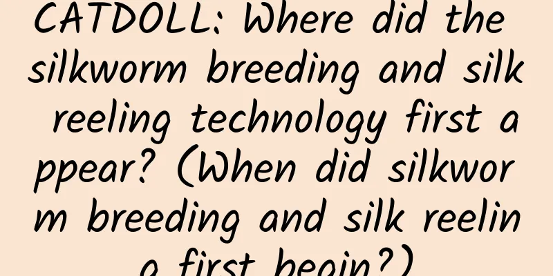 CATDOLL: Where did the silkworm breeding and silk reeling technology first appear? (When did silkworm breeding and silk reeling first begin?)