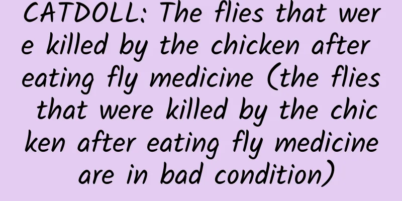 CATDOLL: The flies that were killed by the chicken after eating fly medicine (the flies that were killed by the chicken after eating fly medicine are in bad condition)