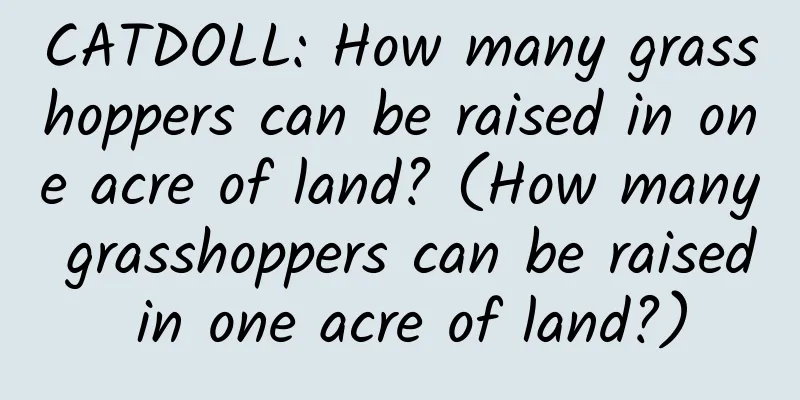 CATDOLL: How many grasshoppers can be raised in one acre of land? (How many grasshoppers can be raised in one acre of land?)