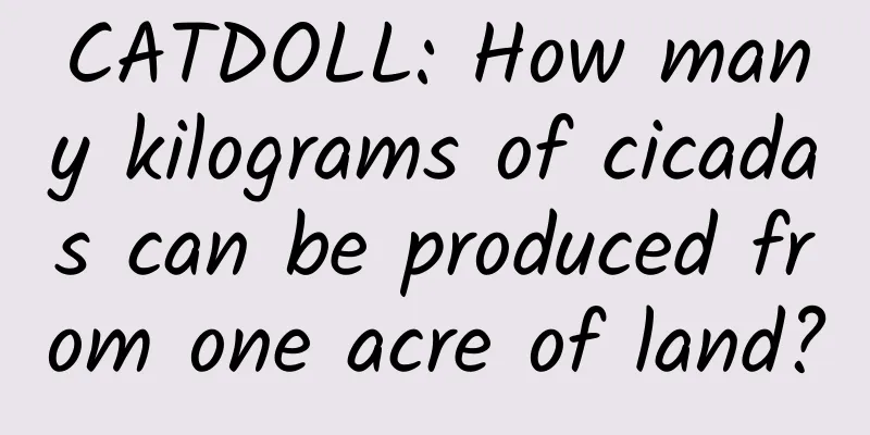 CATDOLL: How many kilograms of cicadas can be produced from one acre of land?