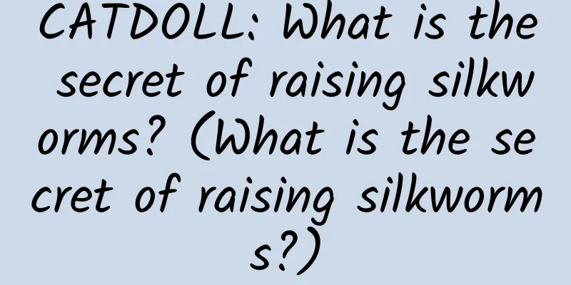 CATDOLL: What is the secret of raising silkworms? (What is the secret of raising silkworms?)