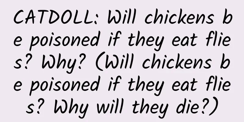 CATDOLL: Will chickens be poisoned if they eat flies? Why? (Will chickens be poisoned if they eat flies? Why will they die?)