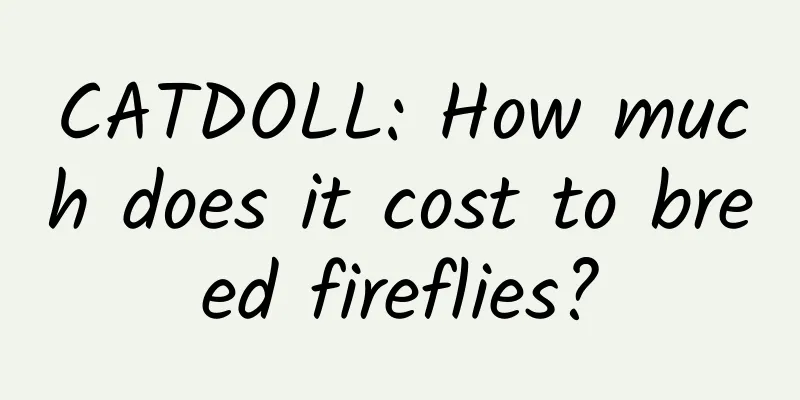 CATDOLL: How much does it cost to breed fireflies?