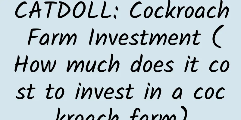 CATDOLL: Cockroach Farm Investment (How much does it cost to invest in a cockroach farm)