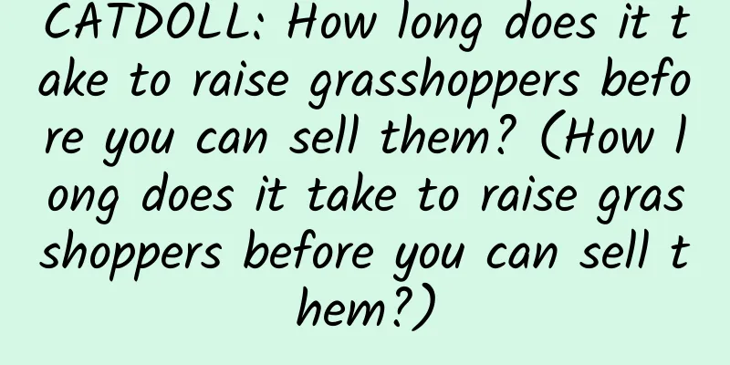 CATDOLL: How long does it take to raise grasshoppers before you can sell them? (How long does it take to raise grasshoppers before you can sell them?)