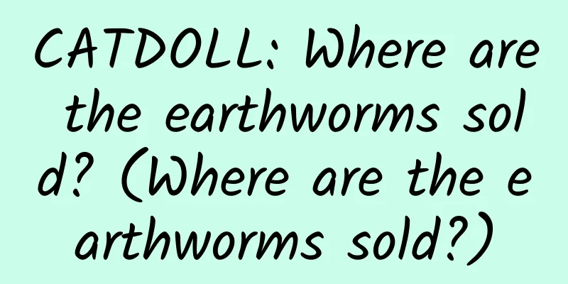 CATDOLL: Where are the earthworms sold? (Where are the earthworms sold?)