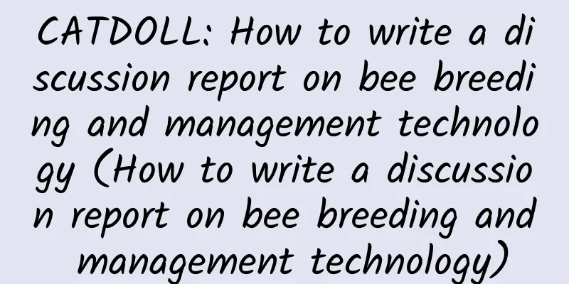 CATDOLL: How to write a discussion report on bee breeding and management technology (How to write a discussion report on bee breeding and management technology)