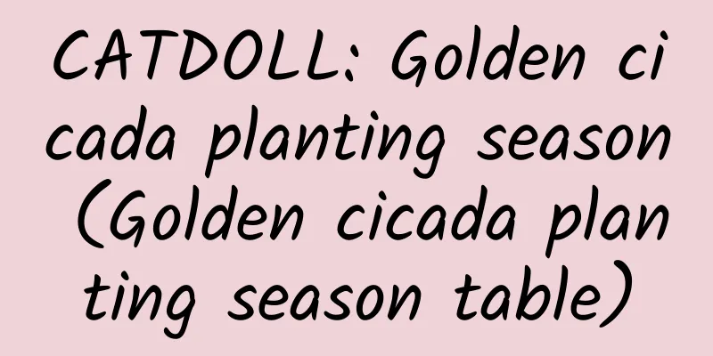 CATDOLL: Golden cicada planting season (Golden cicada planting season table)