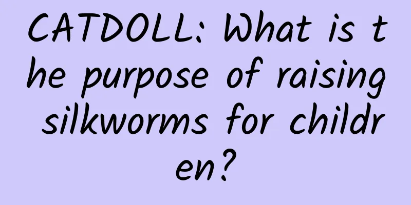 CATDOLL: What is the purpose of raising silkworms for children?