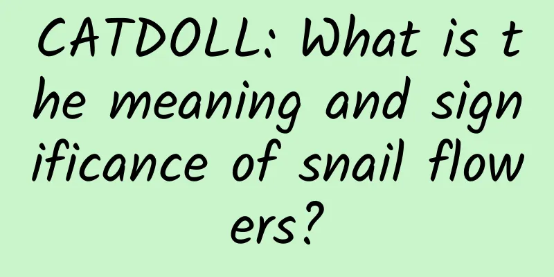 CATDOLL: What is the meaning and significance of snail flowers?