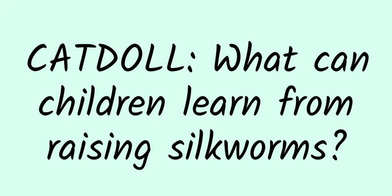 CATDOLL: What can children learn from raising silkworms?