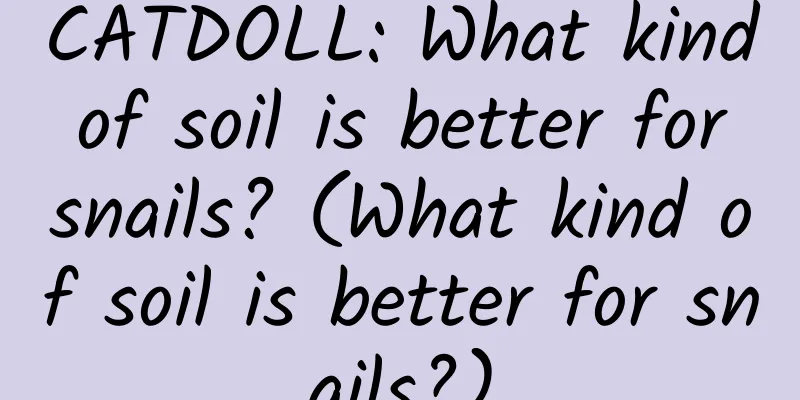 CATDOLL: What kind of soil is better for snails? (What kind of soil is better for snails?)