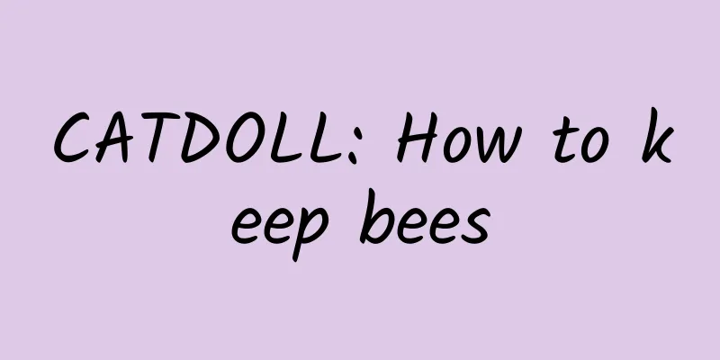 CATDOLL: How to keep bees