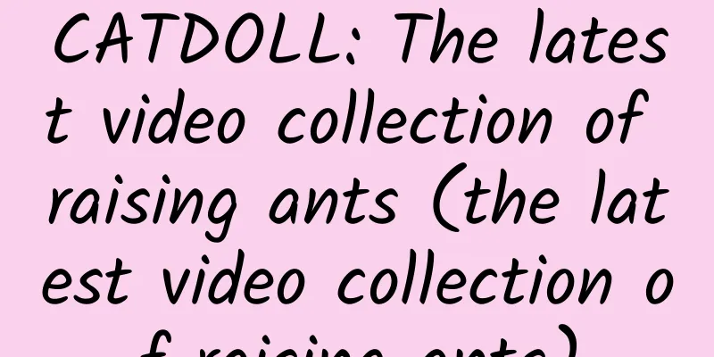 CATDOLL: The latest video collection of raising ants (the latest video collection of raising ants)