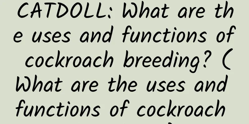 CATDOLL: What are the uses and functions of cockroach breeding? (What are the uses and functions of cockroach breeding?)