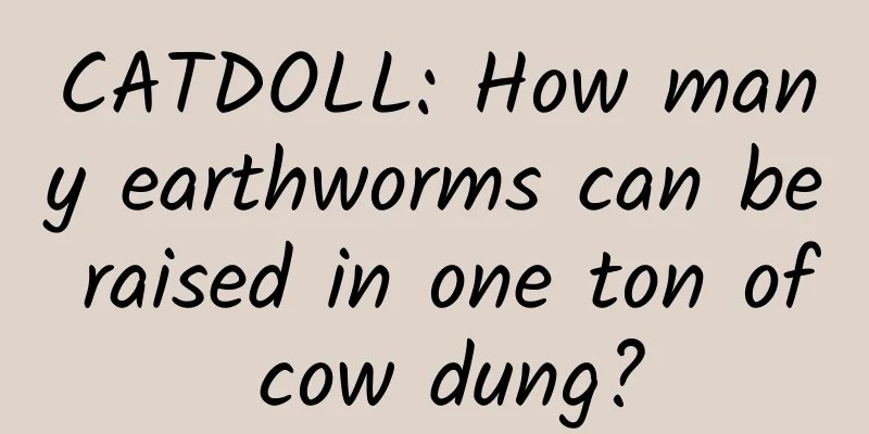 CATDOLL: How many earthworms can be raised in one ton of cow dung?