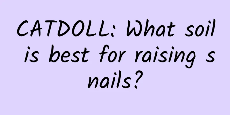 CATDOLL: What soil is best for raising snails?