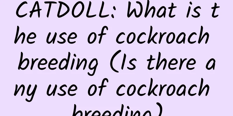 CATDOLL: What is the use of cockroach breeding (Is there any use of cockroach breeding)