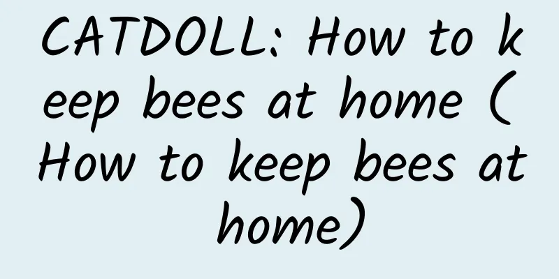 CATDOLL: How to keep bees at home (How to keep bees at home)