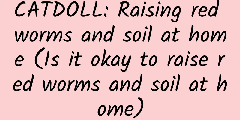 CATDOLL: Raising red worms and soil at home (Is it okay to raise red worms and soil at home)