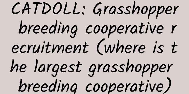 CATDOLL: Grasshopper breeding cooperative recruitment (where is the largest grasshopper breeding cooperative)
