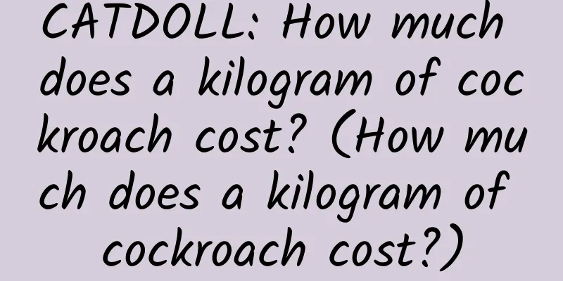 CATDOLL: How much does a kilogram of cockroach cost? (How much does a kilogram of cockroach cost?)